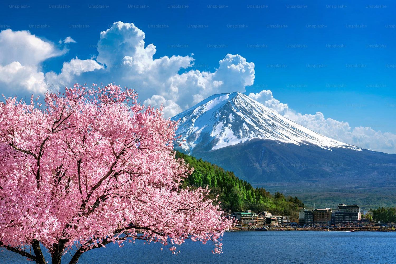 Japón