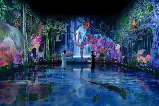 TeamLab Planets - Tokio